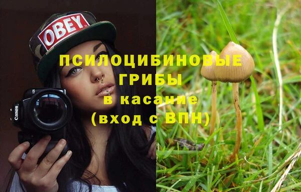 a pvp Зерноград