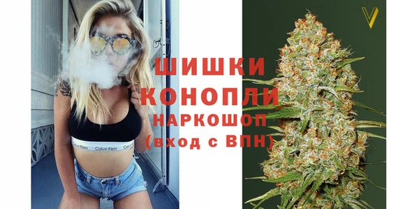 ПСИЛОЦИБИНОВЫЕ ГРИБЫ Заволжск