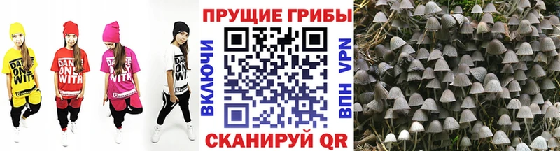 где купить наркоту  Нелидово  Псилоцибиновые грибы мухоморы 